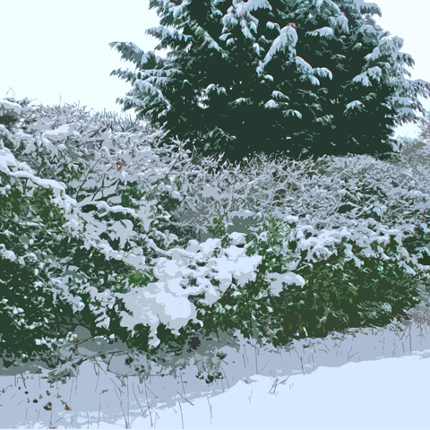 web snow photo 3