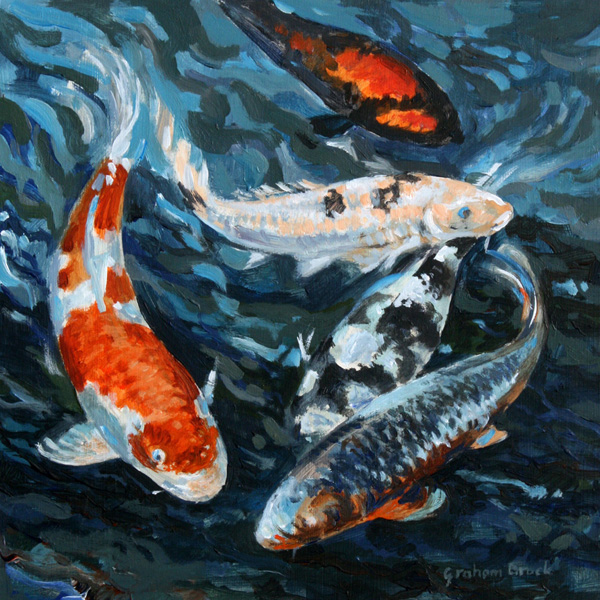 web Five Koi carp