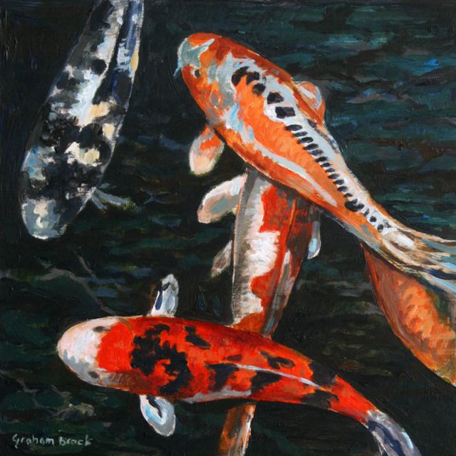 web Four Koi carp